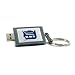 Centon Detroit Tigers Edition DataStick Keychain 2 GB USB 2.0 Flash Drive DSK2GB-DET
