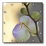 Elegant Orchid- Flowers- Floral Photography- Zen - 10x10 Wall Clock