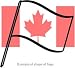 Flag - Paper 6in x 4in (pack of 6, on stick) - Canada