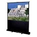 Da-Lite 83315 60-Inch Insta-Theater Portable Projection Screen