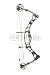 Wallmonkeys Peel and Stick Wall Decals - Compound 