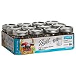 Ball Jelly Jar Set of 12