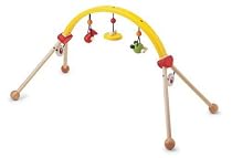 Pintoy Baby Gym by John Crane