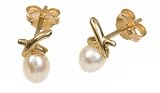 9ct Yellow Gold Cultured Pearl Earring studs