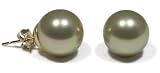 14k Yellow Gold 10mm Dyed Champagne Mother of Pearl Stud Earrings