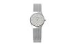Skagen Women's 233XSGSC Stainless Steel Watch