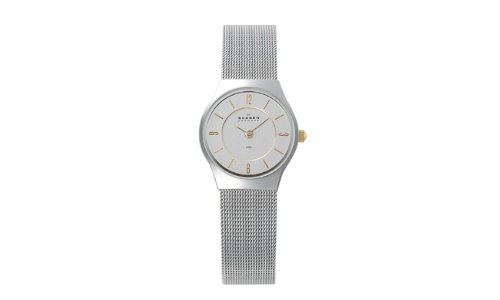 Skagen Women's 233XSGSC Stainless Steel Watch
