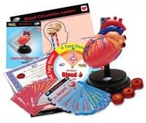 Aww-smart Cardiology Deluxe Set