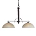 Progress Lighting - P4229-88