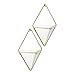 Umbra Trigg Hanging Planter Vase Wall Decor, Set of 2 Pots Containers for Succulents, Cactus, Faux Plants, and More, Small, White/Brass
