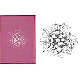 �Z���O���t�B �� �u�[�P�h���X