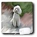 poodle16  - Dogs Poodle White Poodle Mouse Pads