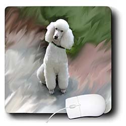 image link -  - B002I8BE1Q