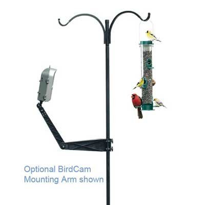 New-BIRDCAM WSBR01 BIRDCAM MOUNTING - WGSWSBR01