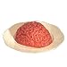 Human Brain Gelatin Mold Halloween Party Prop