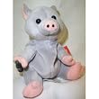 Coca Cola Blubbly the Pot Belly Pig Vietnam #0250
