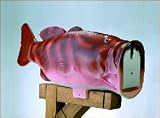 Grouper Fish Mailbox