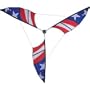 Premier Kite 6.5' Patriotic Wind Generator