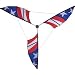 Premier Kite 6.5' Patriotic Wind Generator