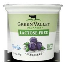 Green Valley Organic Lactose Free Blueberry Yogurt, 6 Ounce -- 12 per case.