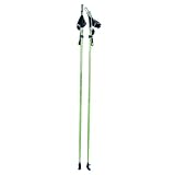 GYMSTICK ノルディックウォーキング ヘルス 110cm 22102の画像
