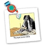 Londons Times Funny Dogs Cartoons - Bored Border Collie - Quilt Squares