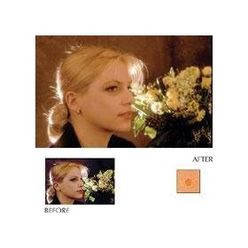 Cokin Series P Champagne Filter