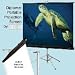 Draper 213003 Draper Screen 70"X70" Tripod
