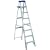 Louisville Ladder AS2108 250-Pound Duty Rating Aluminum Stepladder, 8-Foot