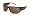 Brown with Brown Lens with Brown lenses
