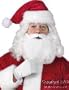 Adult's Santa Claus Costume Set