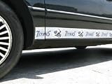 Tennessee Titans Car Trim Magnets
