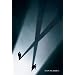 The Best Movies I Have Seen So Far in 2008