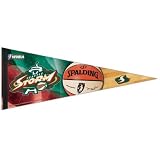SEATTLE STORM OFFICIAL LOGO FULL SIZE PREMIUM PENNANT