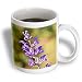 Salvia017 Small Blue Flowers - 11oz Mug