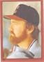 1982 Topps Stickers #173 Bert Blyleven