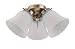 31f40OLF aL. SL75  Sea Gull Lighting 1679 34 Ceiling Fan Light Glass Kit, Opal White Glass