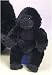 Plush Lil Gillespie Gorilla 8