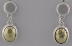Light Silver Drop Earrings with Gold Tone Inlays