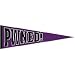 Pwned Pennant