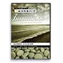 iWorship Invitations: Resource System DVD