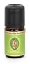 Frankincense Arabian Oil