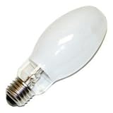Venture 10381 - MP Light Bulb