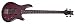 Schecter Raiden Special-4 Bass - Black Cherry