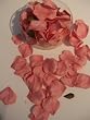 Rose Pink Silk Rose Petals - Christmas, Wedding Flowers, Confetti