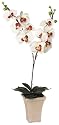 GKI Bethlehem Lighting 28-Inch White with Purple Orchid with LED Lights, Battery Operated