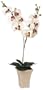 GKI Bethlehem Lighting 28-Inch White with Purple Orchid with LED Lights, Battery Operated