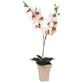 GKI Bethlehem Lighting 28-Inch White with Purple Orchid with LED Lights, Battery Operated by GKI Bethlehem Lighting