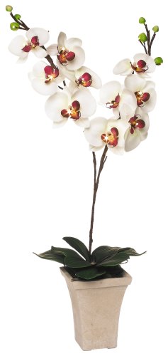 GKI Bethlehem Lighting 28-Inch White with Purple Orchid with LED Lights, Battery Operated
