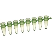 BrandTech 781323 Plastic 0.2mL PCR 8-Tube Strip, Green (Pack of 125)